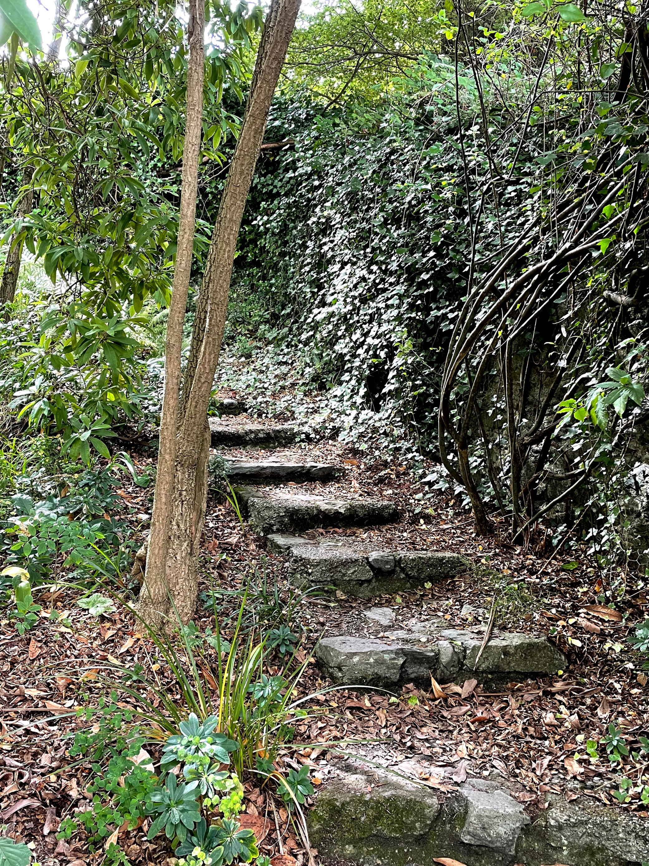 Outside Stone Steps